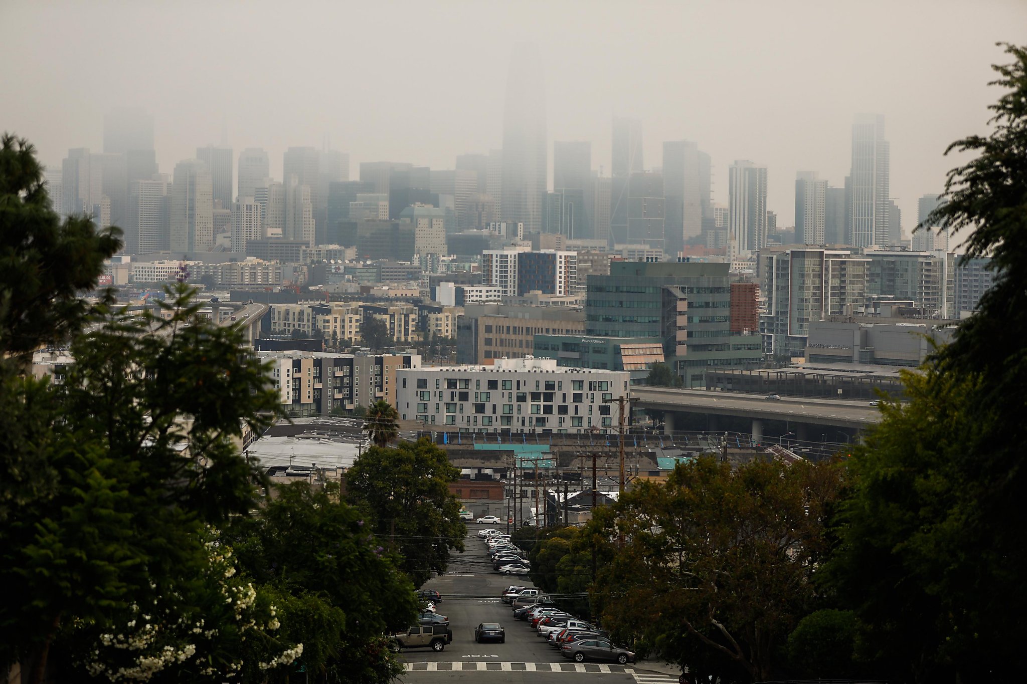 MicroClimates The story of the century