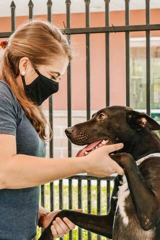Local Shelter Saves 12 Pets In Hurricane Laura S Path Midland Reporter Telegram