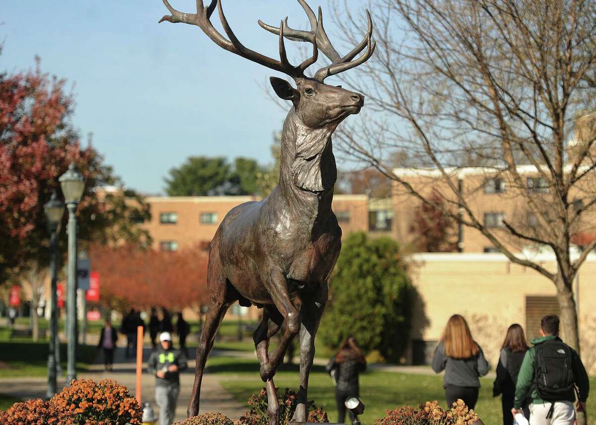 Students walk between classes past the bronze stag statue on the Fairfield University campus in Fairfield, Conn. on Wednesday, November 15, 2017.
