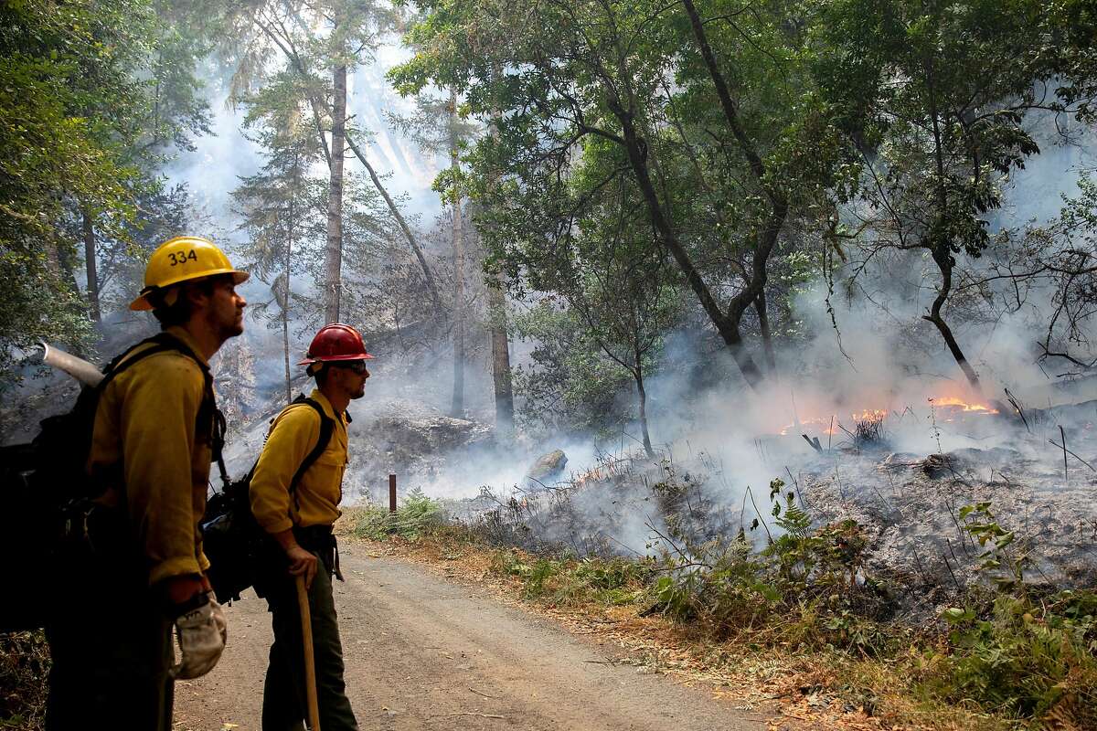 Firefighters monitor trees and flames as The Woodward Fire burns along Bear Valley Trail in Point Reyes Station, Calif. Tuesday, August 25, 2020. Firefighters are working to hold the eastern fire line near Bear Valley Visitors Center and northern line south of Limantour Road. The Woodward Fire stands at 2,739 acres and is 5% contained as of Tuesday.
