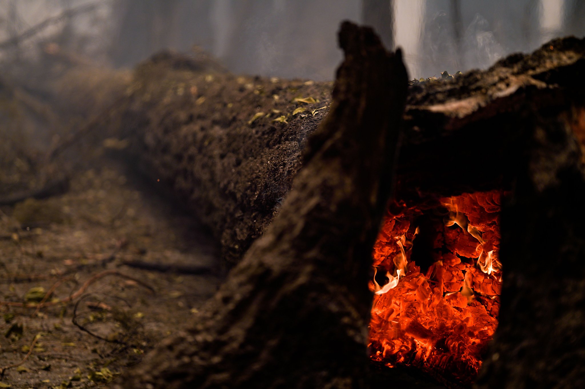 Were this week's Bay Area wildfires spawned by last summer's monster CZU fire? - Vimarsana News