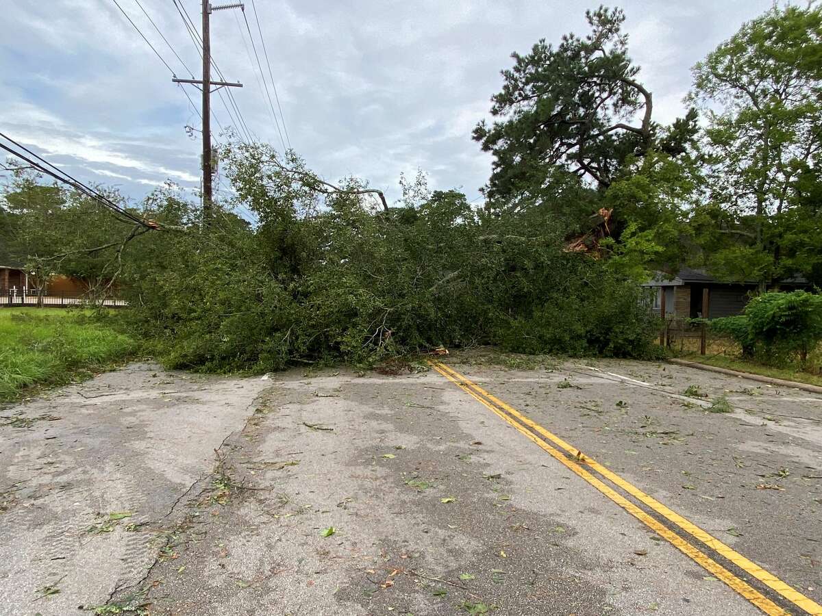 A large tree down blocks Delaware Road  just past Nineteenth Street. When it fell it took down some power lines. About 70 thousand residents in Southeast Texas woke to no power Thursday morning.