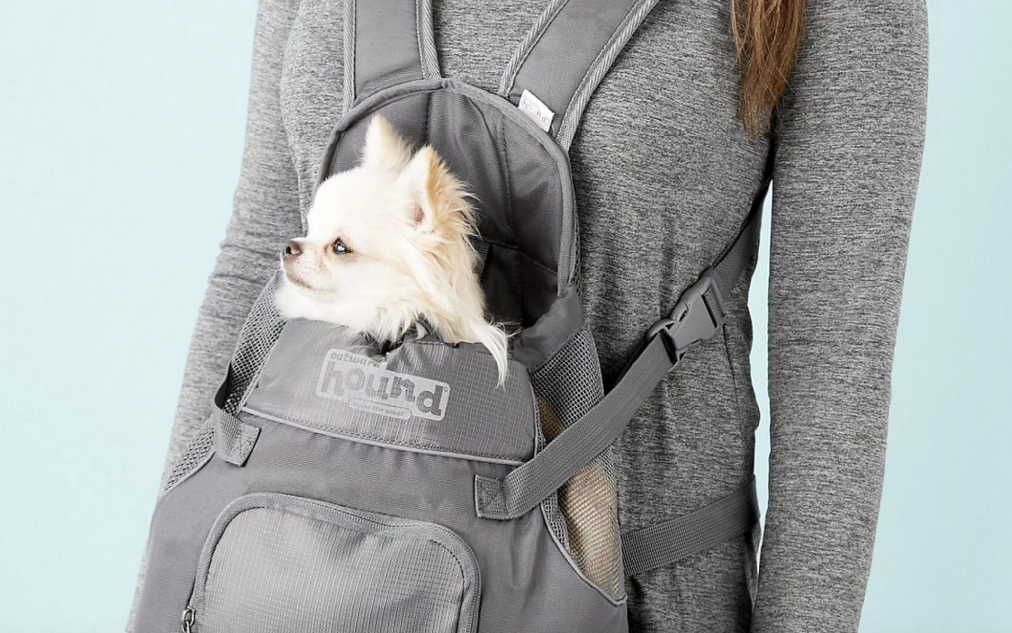 backpack to put your dog in