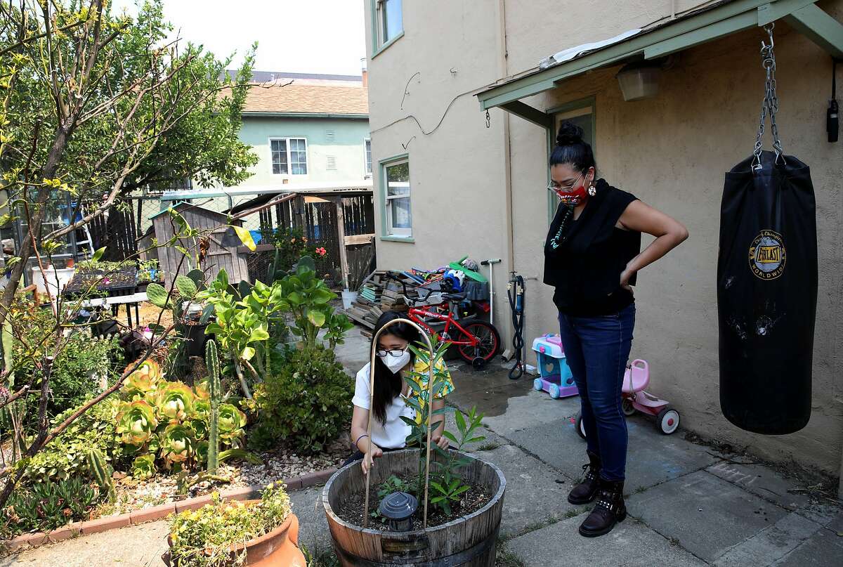 Lil Milagro Henriquez, right, converses with colleague Linda Le as she gardens in Henriquez's backyard on Saturday, August 22, 2020, in Oakland, Calif. Henriquez is the executive director of Mycelium Youth Network, a STEM education organization with focuses on climate and ancestral knowledge.
