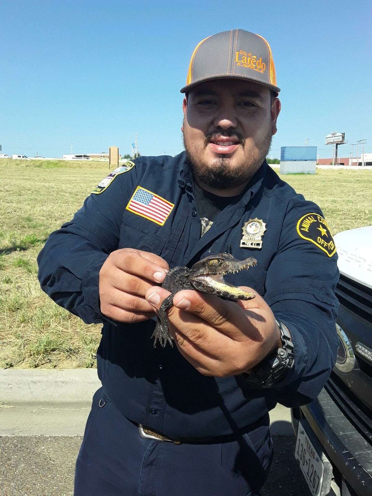 Small alligatorlike caiman found in Laredo