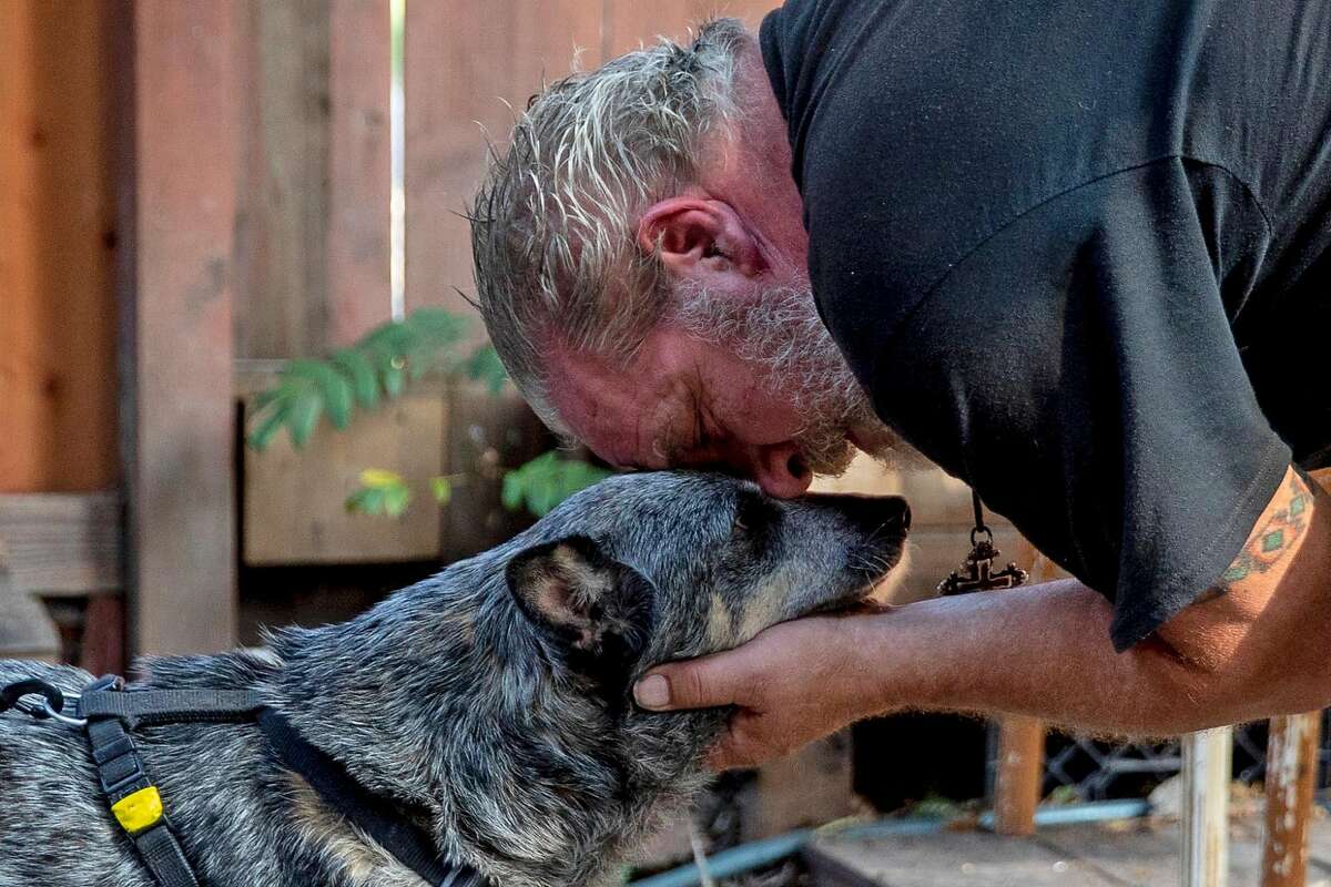 Allen Strong of Ben Lomond comforts his 10-year-old blind dog Annie while camped out at La Placa Family Bakery in the evacuation zone of Ben Lomond, Calif. Thursday, August 27, 2020. Strong and his friend Brent White have remained in town, spending the night at the La Placa Family Bakery to keep an eye on it for the Placa family. Residents in the communities of Ben Lomond, Boulder Creek, Last Chance, Swanton and Felton are still under evacuation orders as the CZU Lightning Complex Fire continues to burn in the Santa Cruz Mountains.
