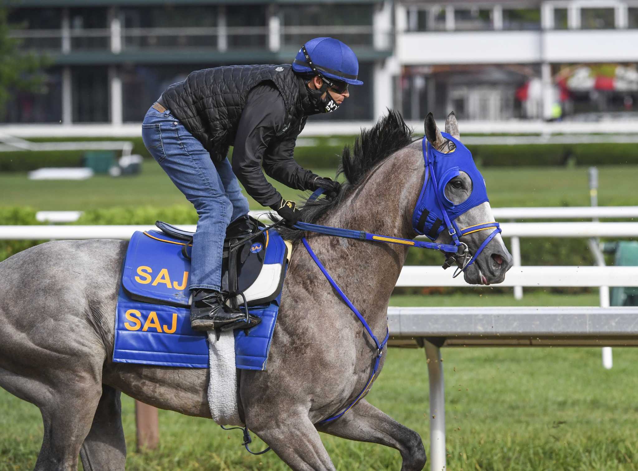 New York-breds take spotlight on Friday at Saratoga - Vimarsana News