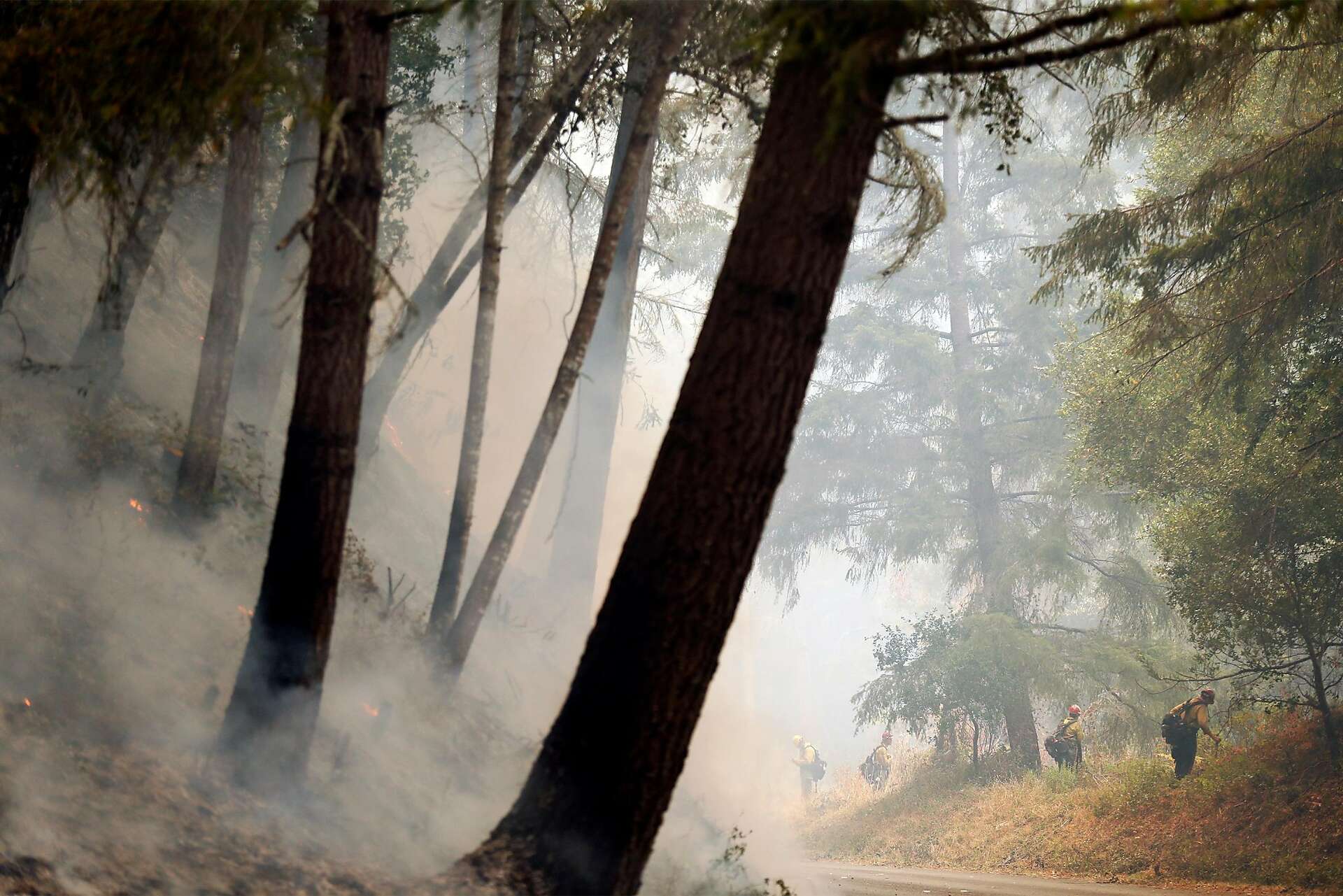 ‘Silver lining’ in wake of Point Reyes wildfire