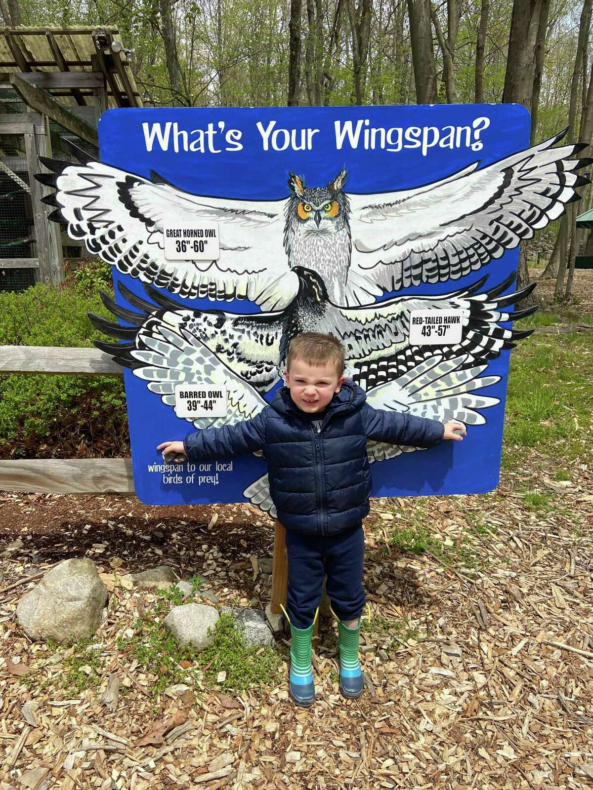 Jase Bradshaw of Ridgefield spreads his wings near the bird enclosures at Woodcock Nature Center. The new sign shows the spirit, if not the actual design, of new educational signs Woodcock is hoping to add to its trails.