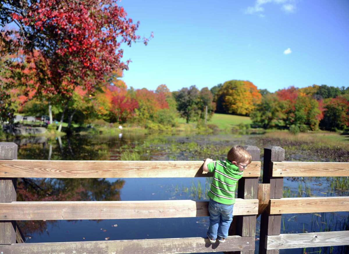 Book an overnight getaway: Reserve a room with a foliage view at Connecticut inns and B&Bs, including Manor House Inn in Norfolk, Wallingford Victorian Inn in Wallingford and Stonecroft Country Inn in Ledyard. Or, opt for a luxury resort cottage among the trees at Winvian Farm in Morris. Take a road trip: While there are countless scenic drives across the state, these seven loops offer some of the finest leaf peeping, hiking, shopping, dining and lodging options nearby. Take the Litchfield Hills loop, which includes historic Route 7, or the “Quiet Corner” loop, featuring Route 169.    