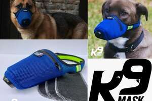 New air filter masks will protect dogs from breathing toxic air