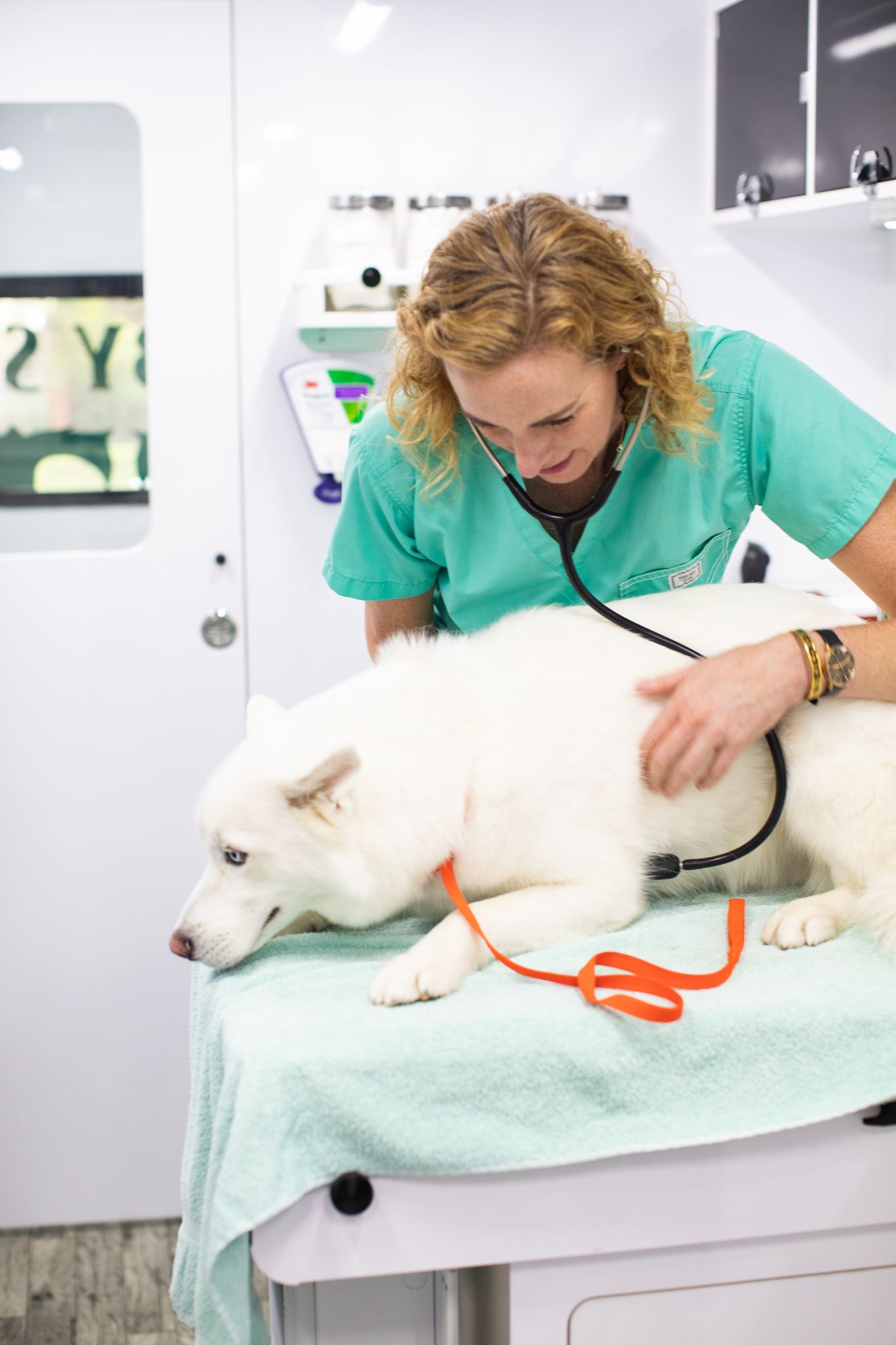 After-Hours Care — Rockin' Pets, Rollin' Vets