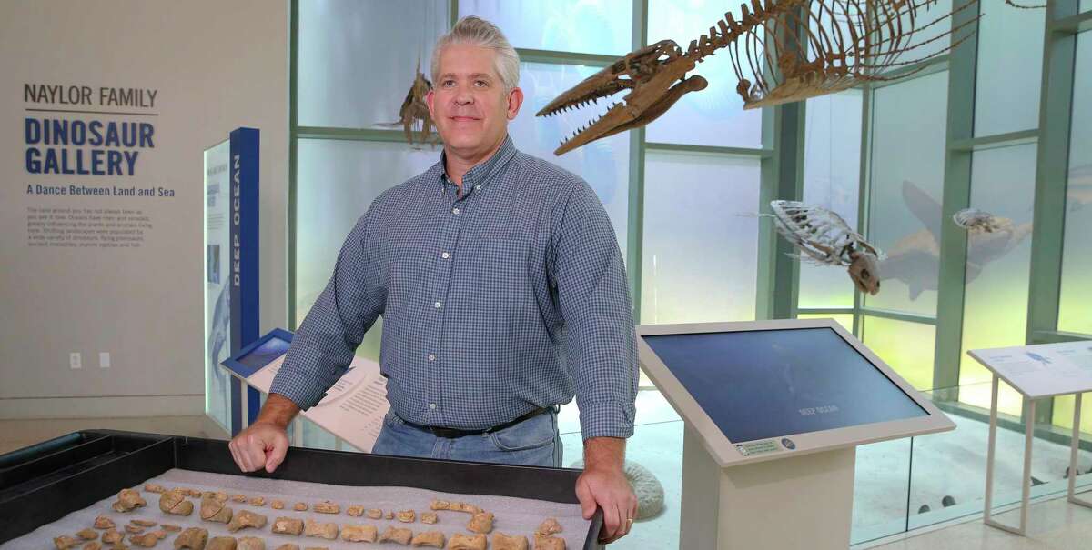 Dr. Thomas Adams, curator of paleontology and geology at the Witte Museum, shows his most recent findings from an excavation which resulted in fossilized bones of a Clidastes - an extinct marine lizard - in front of a the mosasaur display at the Witte on Thursday, Aug. 20, 2020. The museum is planning a new exhibit showcasing these finds sometime in the fall.