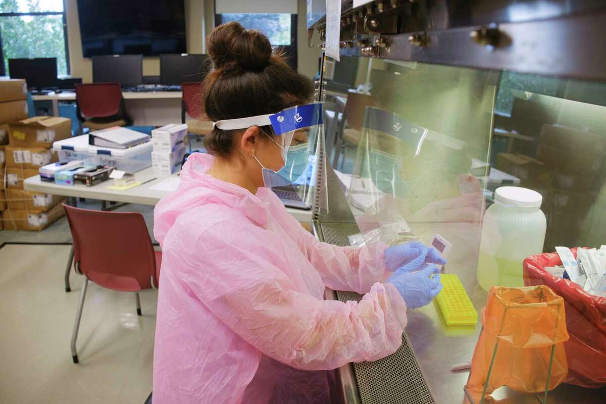 Camryn Fiacco, a lab technician at Albany College of Pharmacy Health Sciences sets up for a SARS-CoV-2 rapid antigen test in the college's limited service lab on Wednesday, Sept. 2, 2020, in Albany, N.Y. The college is testing students from Albany Law School, Maria College, Sage Colleges and the College of St. Rose. (Paul Buckowski/Times Union)