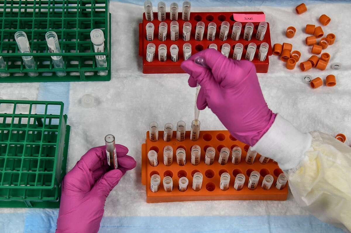 (FILES) In this file photo taken on August 13, 2020, a lab technician sorts blood samples for a COVID-19 vaccination study at the Research Centers of America in Hollywood, Florida. - The Trump administration has urged US states to get ready to distribute a potential Covid-19 vaccine by November 1, media reported on September 2, 2020, in the latest sign of the accelerating race to deliver a vaccine by year's end. "CDC urgently requests your assistance in expediting applications for these distribution facilities," read a letter from Robert Redfield, director of the Centers for Disease Control and Prevention, quoted by The Wall Street Journal. (Photo by CHANDAN KHANNA / AFP) (Photo by CHANDAN KHANNA/AFP via Getty Images)