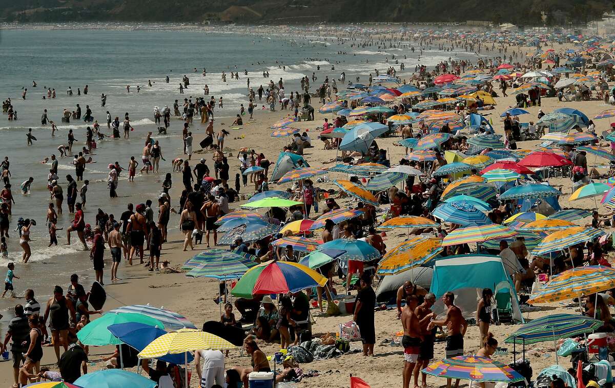 Beachgoers create a forest of umbrellas as thousands seek refuge in Santa Monica, California, with temperatures reaching triple digits and beyond in inland valleys and deserts, on Saturday, Aug. 15, 2020. A heatwave caused by a high pressure system over southern California is expected to last through next week. (Luis Sinco/Los Angeles Times/TNS)