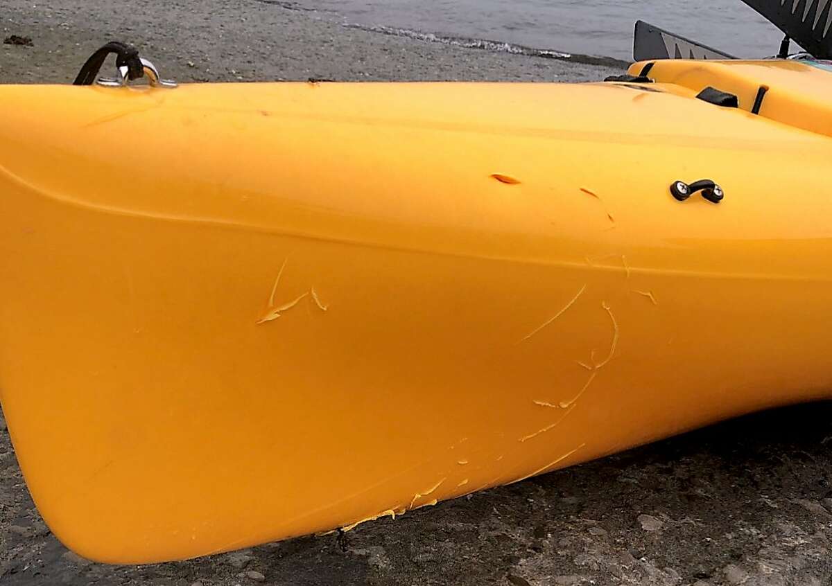 The bite marks, including a puncture holes on top, where a great white shark bit the front of a kayak and knocked David Alexander into the water