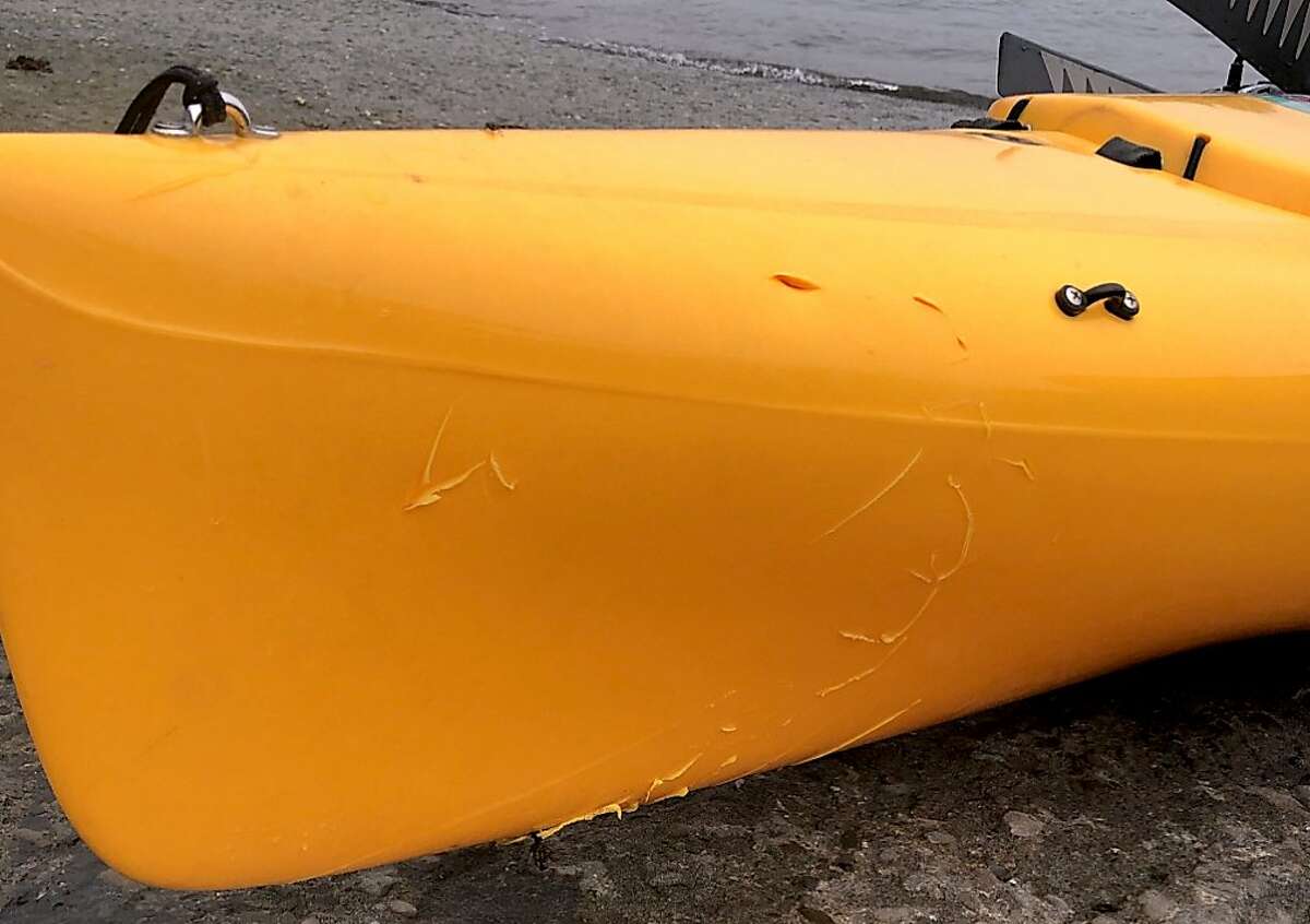 Shark knocks terrified 15-year-old girl out of her kayak in