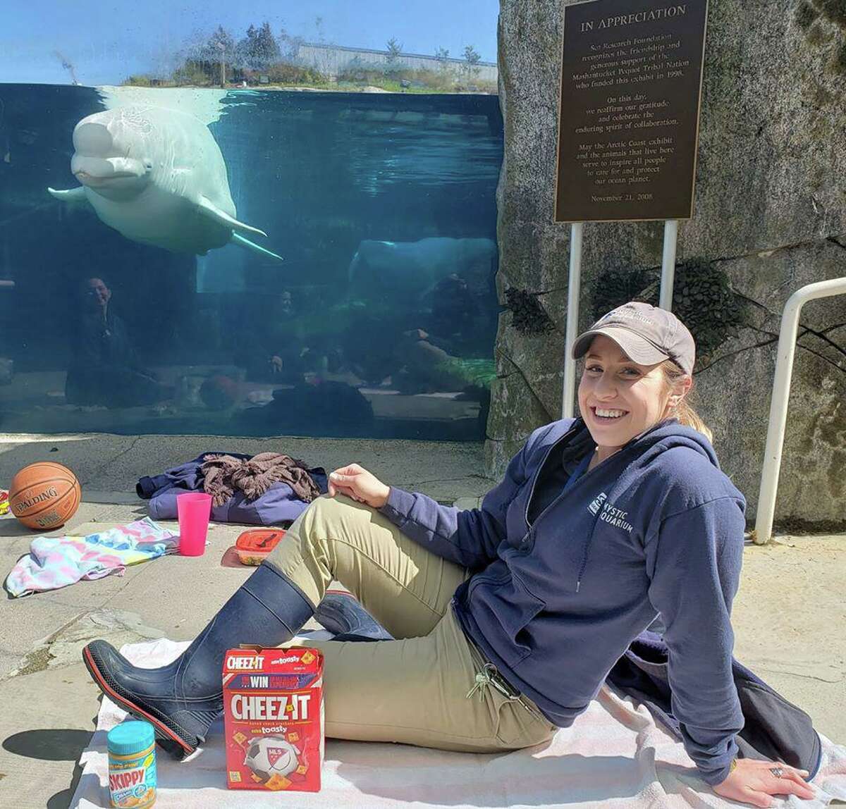 At the Mystic Aquarium in Mystic, Conn., California Sea Lion trainer Kim Hentz has lunch with Juno, a beluga whale, while the aquarium is closed due to the COVID-19 pandemic. Lunches at the exhibits helps ensure underwater viewing enrichment for the animals as they go without seeing visitors.