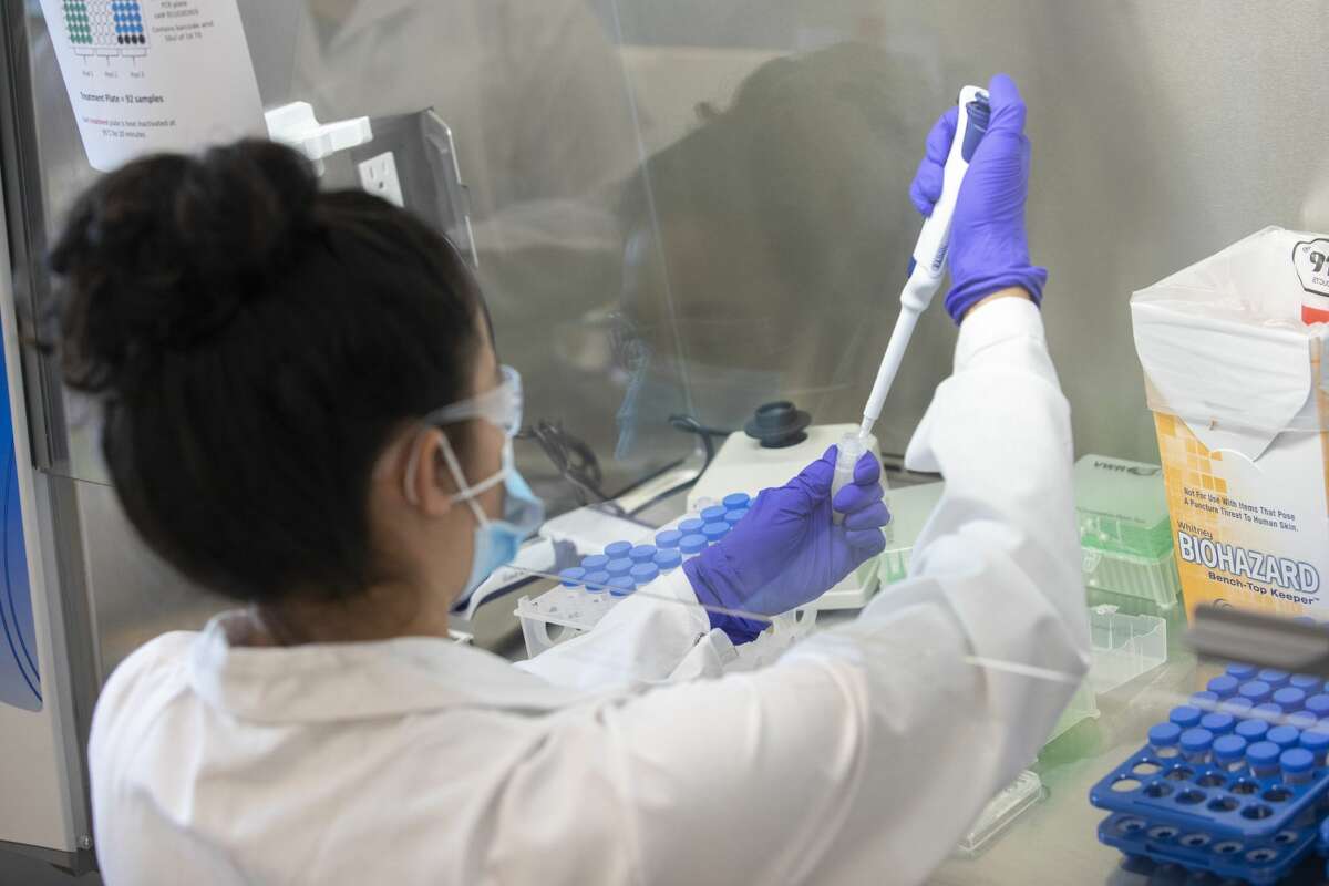 UAlbany researchers conduct COVID-19 pooled surveillance testing at the RNA Institute on Wednesday, September 2, 2020. (photo by Patrick Dodson)