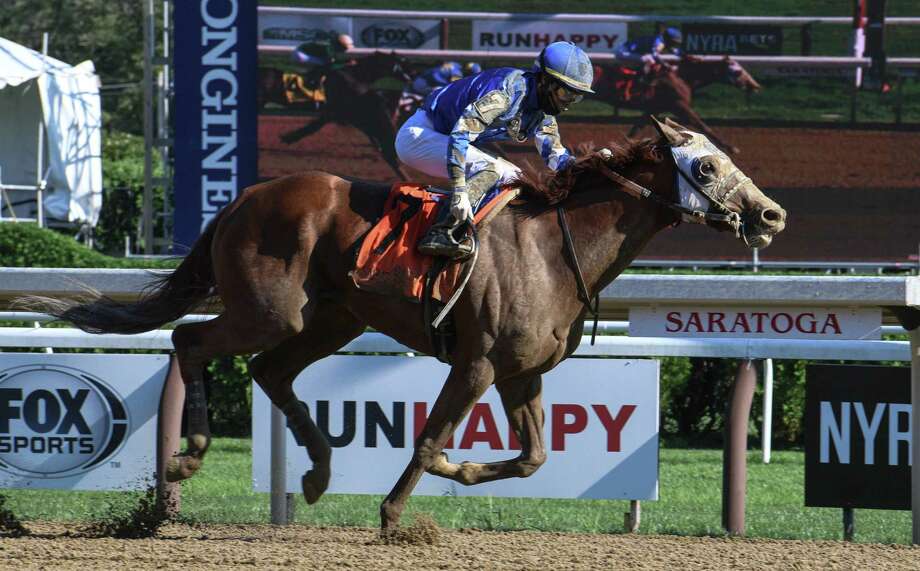 Who Will Win The Preakness Horse Race