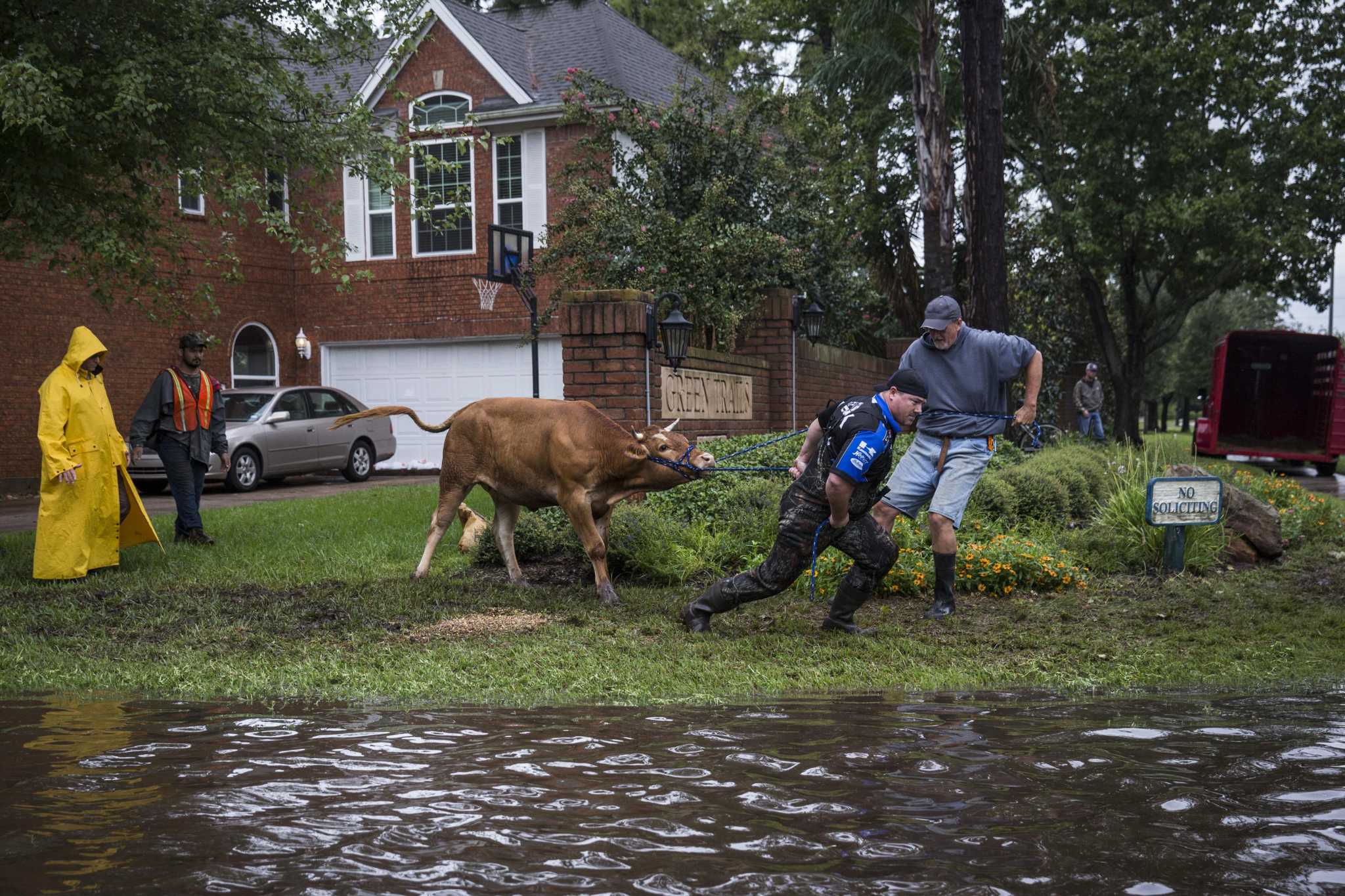 FAQ: What to do before, during and after a flood