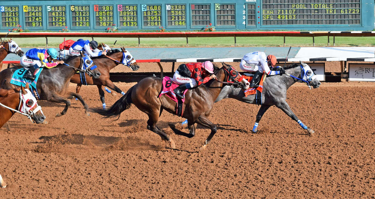 Whistle Stop Cafe finishes ahead of Instygator during Monday's running of the All American Futurity at Ruidoso Downs Race Track & Casino.