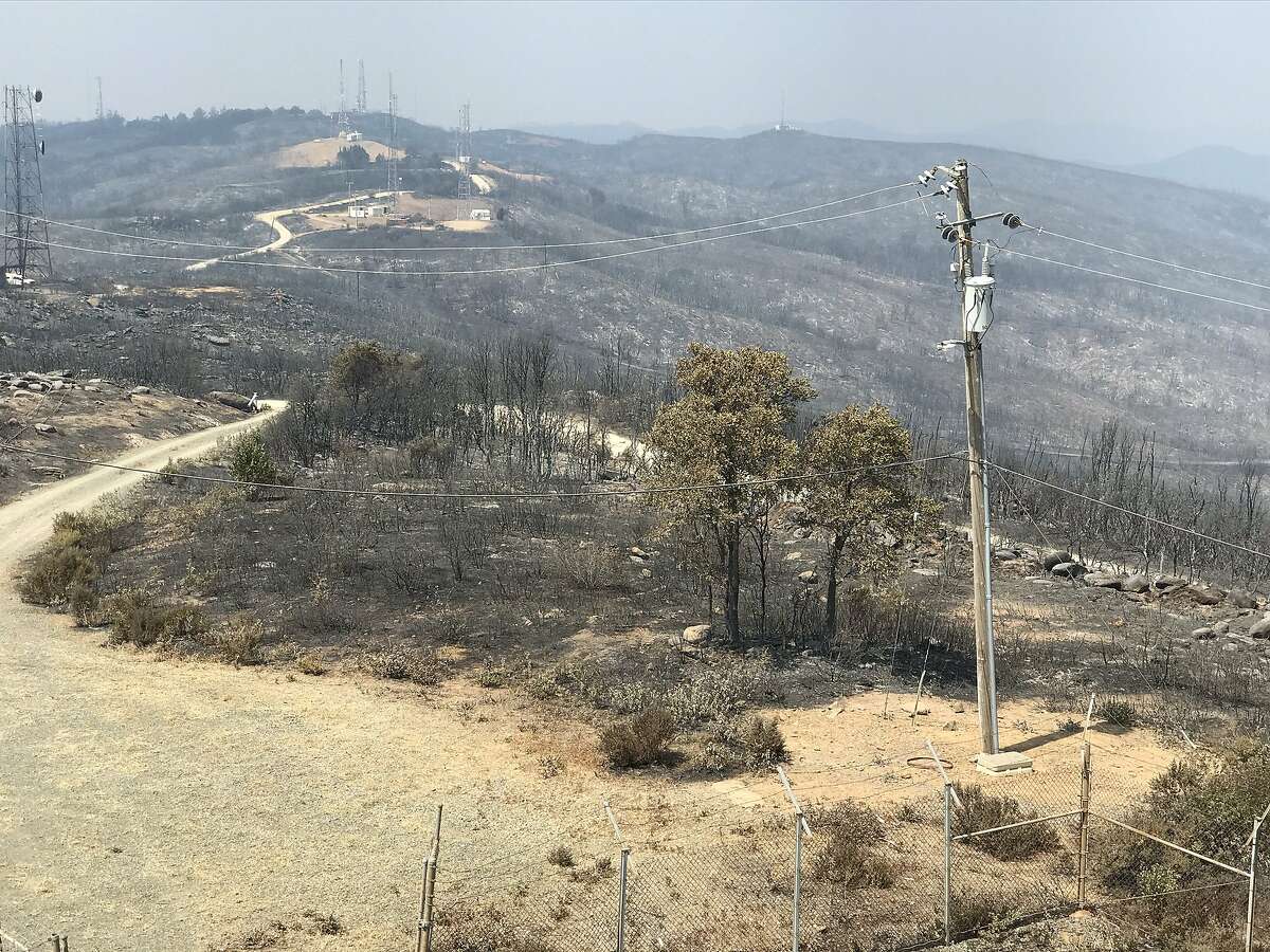 Photos from before and after the LNU Lightning Complex fire tore through the bay laurel trees on Mt. Vaca from Napa Mountain Spice Co.
