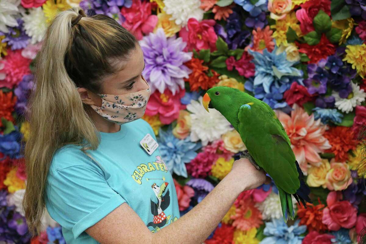 Flux Visionary behind South Texas’ largest independent pet store ready