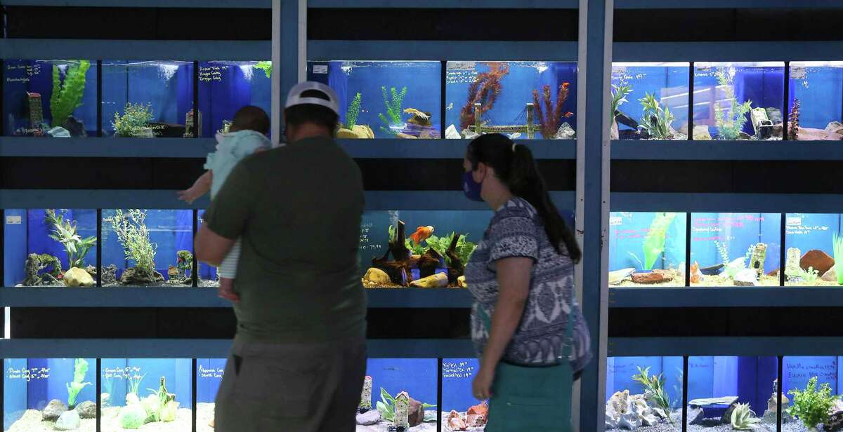 Flux Visionary behind South Texas’ largest independent pet store ready for 2021