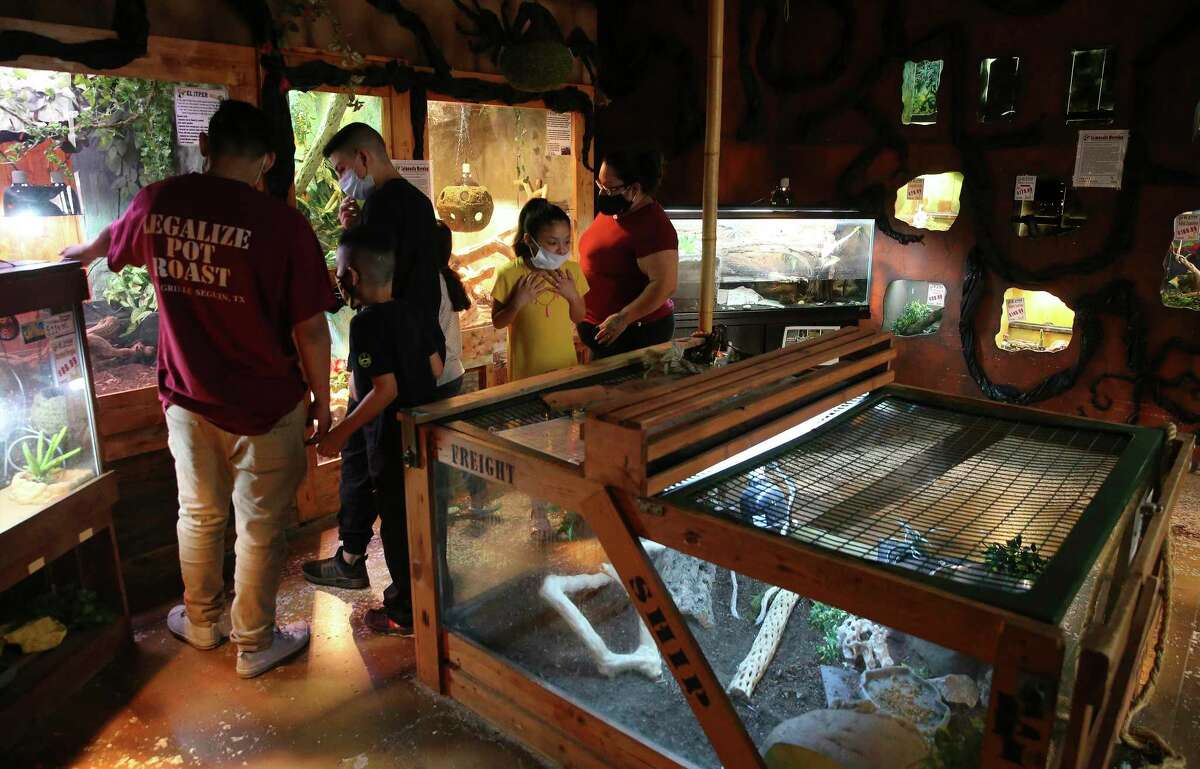 Flux Visionary behind South Texas’ largest independent pet store ready for 2021