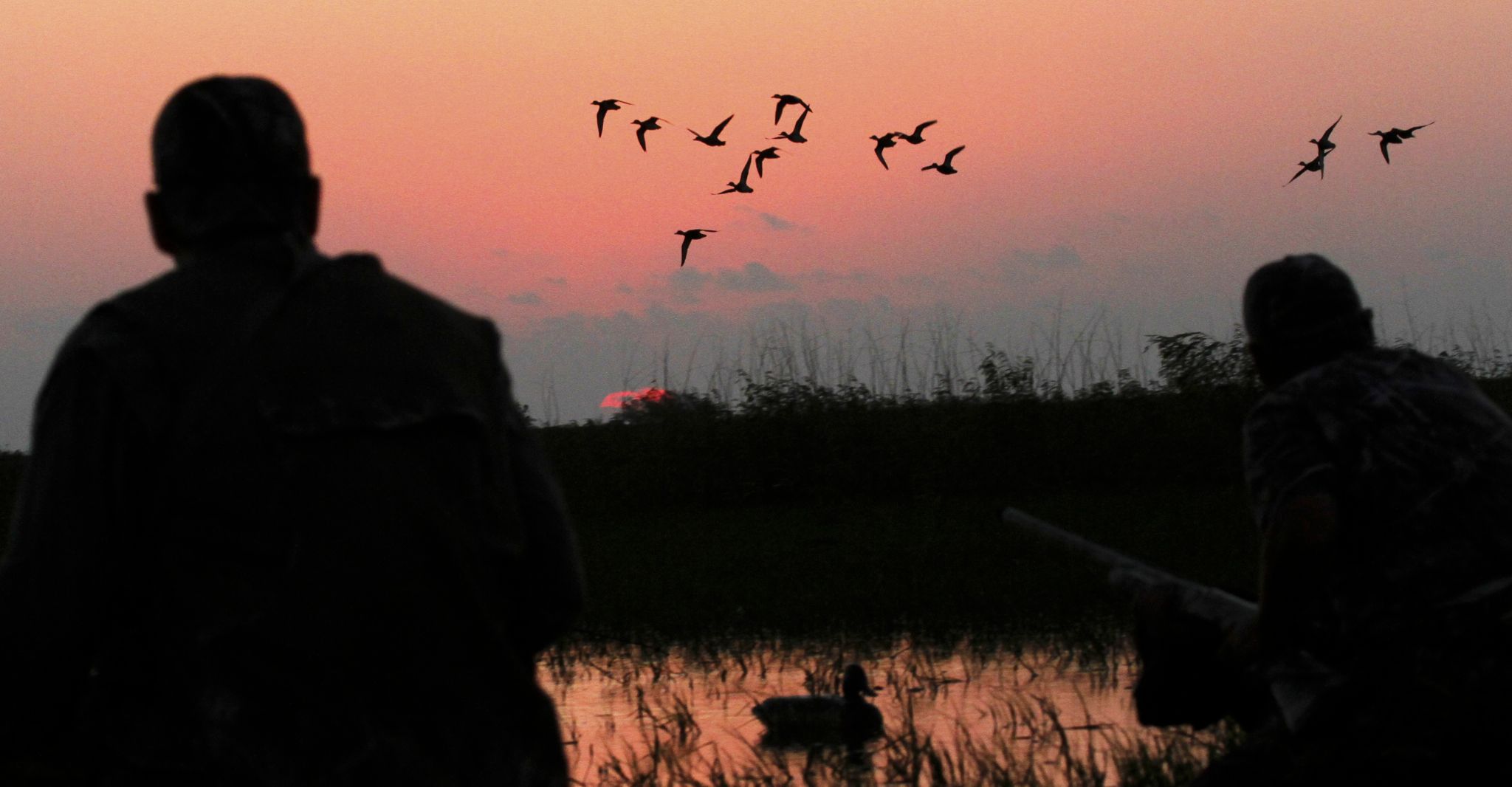 Forecast excellent for Texas' early teal season