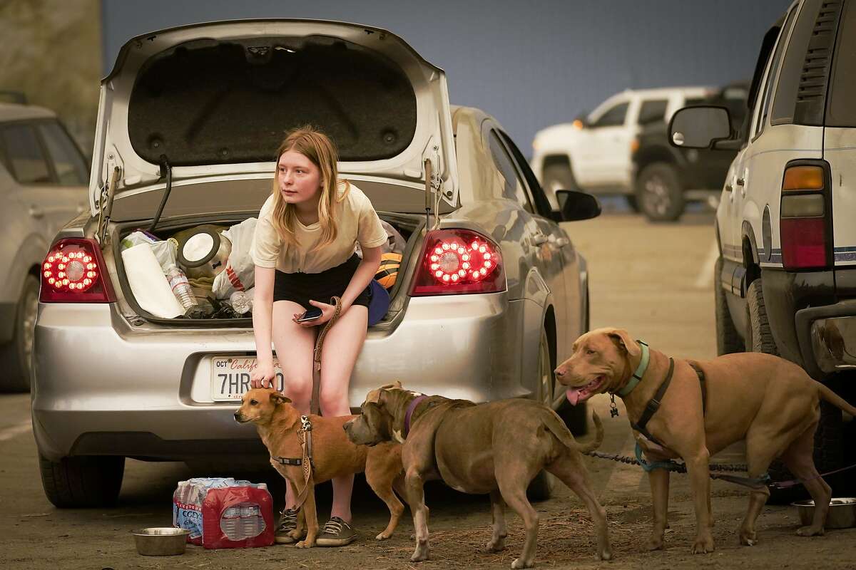 Kelsey Mueller, 16, of Armona, Calif., pets her dogs while waiting with her family to be escorted from the mountain as the Creek Fire burns nearby Monday, Sept. 7, 2020, in Shaver Lake, Calif. (AP Photo/Marcio Jose Sanchez)