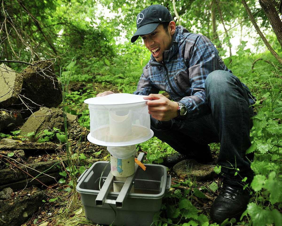 A file photo showing Connecticut Agricultural Experiment Station field research assistant Carlos Franco, of Bridgeport, setting a mosquito sampling trap near DeLuca Field on Main Street in Stratford, Conn. on Monday, June 1, 2015. The station collects mosquitoes every year from a wide range of locations to track West Nile Virus.