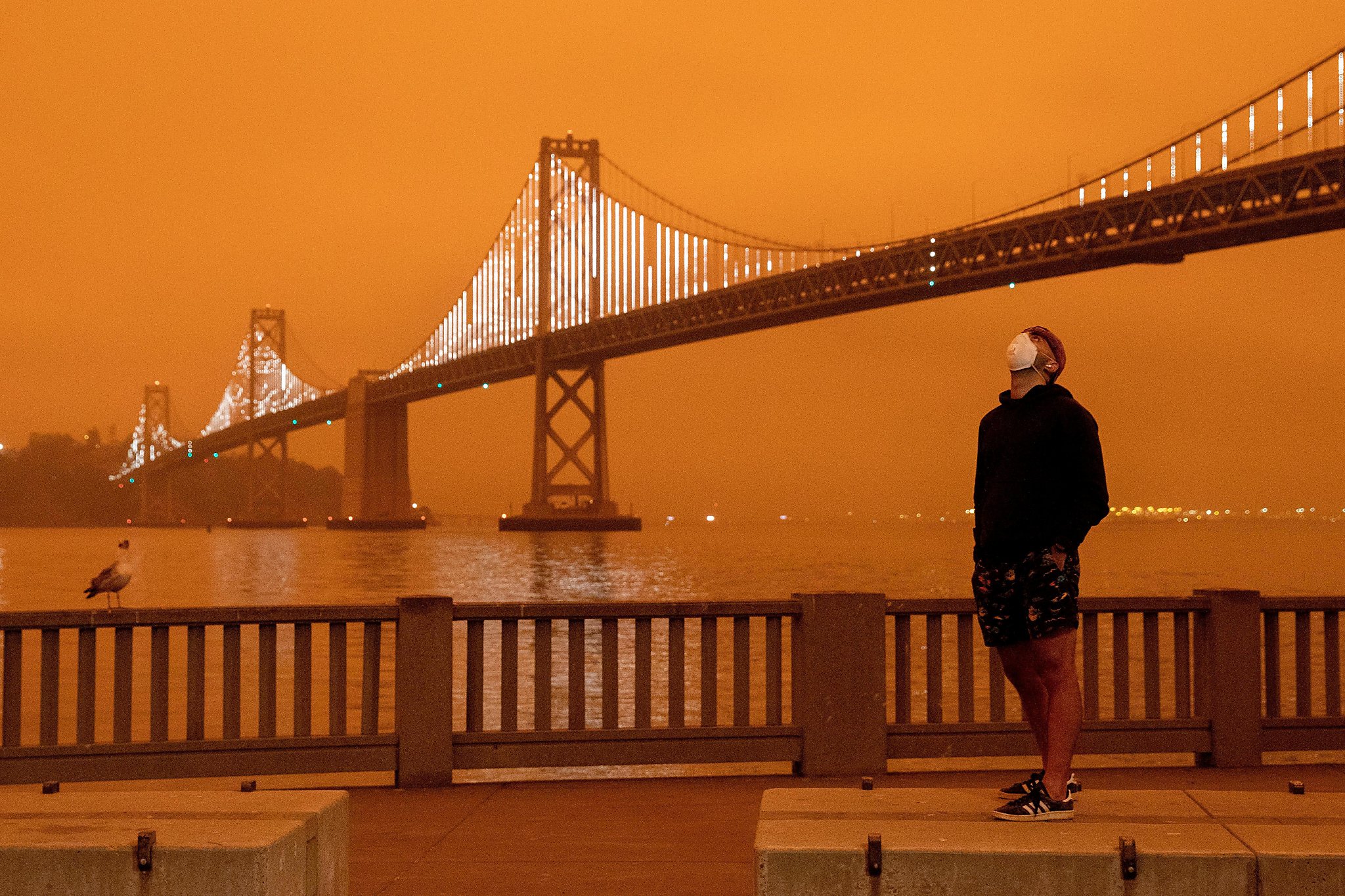 The Orange Skies Have Faded But Orange Skies Day Is Forever 3175