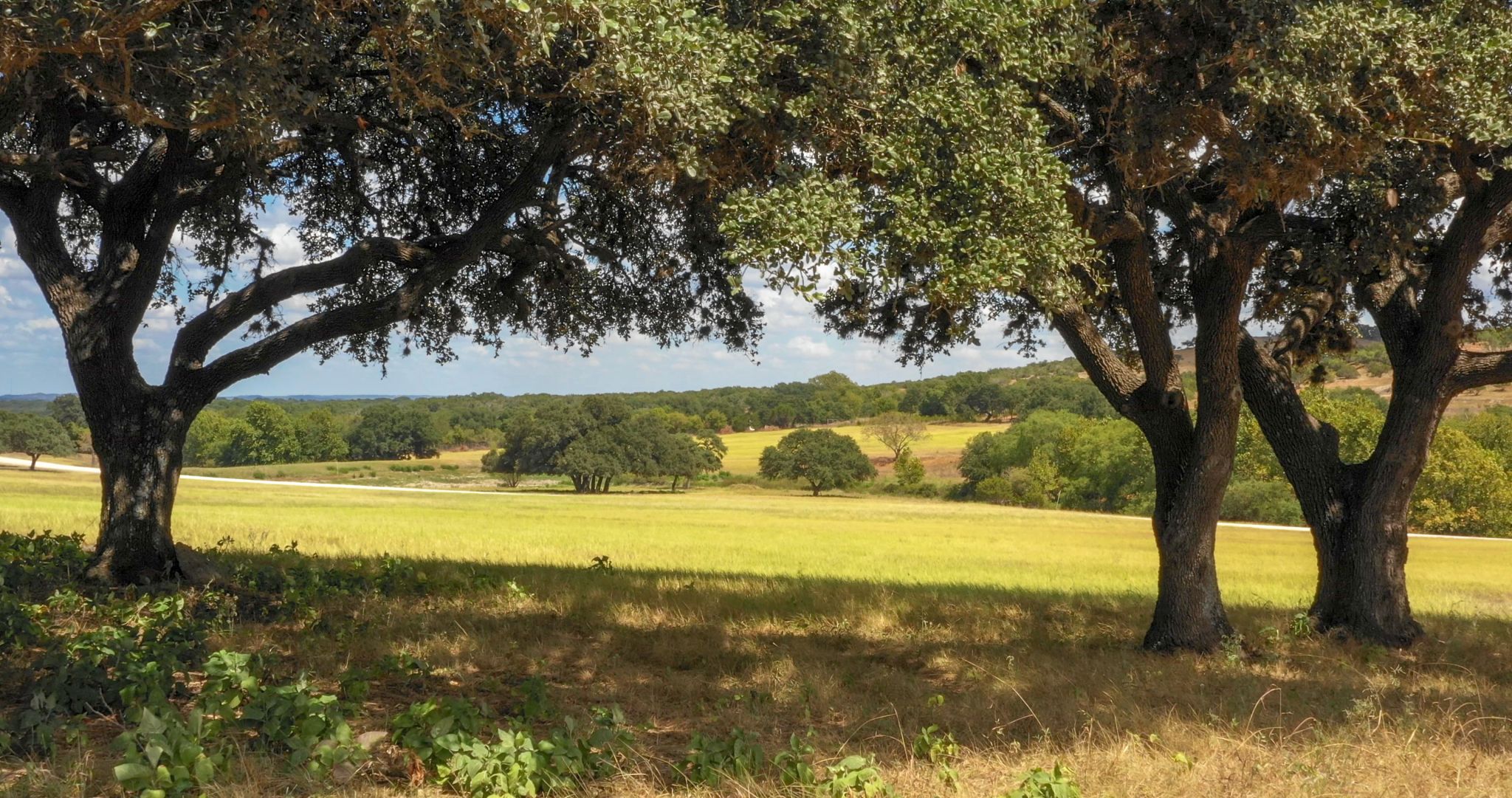 Majestic Hills PreAutumn Land Sale