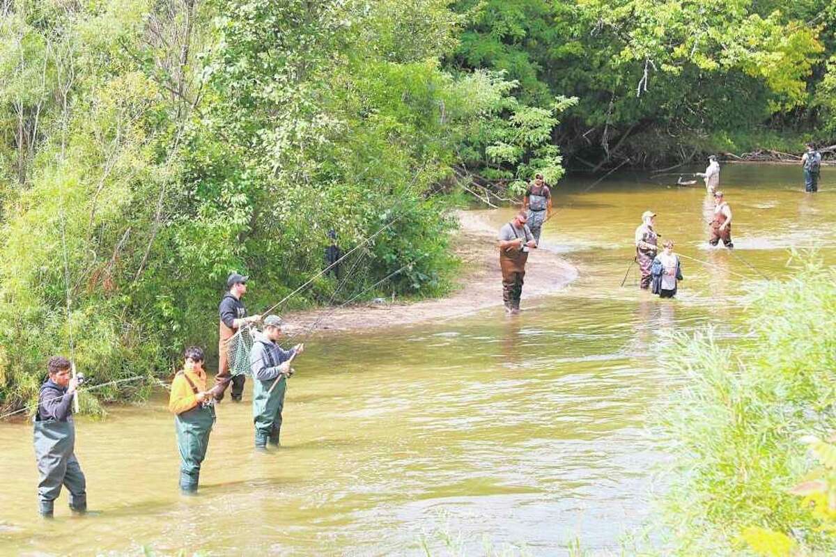 Fishermen line the banks of the Betsie River in late summer , as anglers flocked to Benzie to try and catch salmon as they migrated upstream to spawn. (File photo)