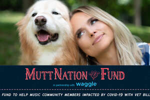 Miranda Lambert launches COVID fund to cover pets' vet bills