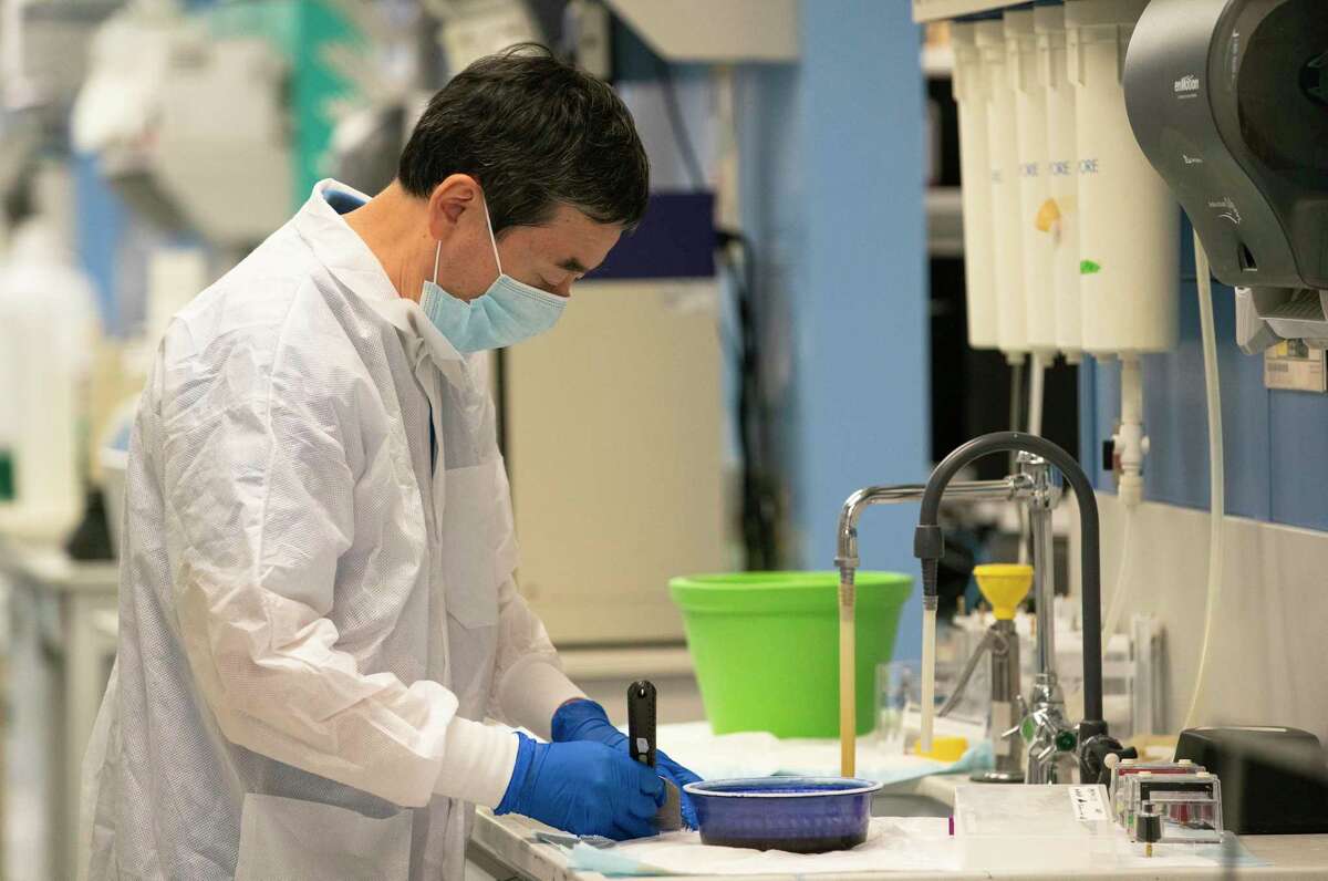 Bin Zhan, associate professor at Baylor College of Medicine, works on protein staining processing at the Texas Children's Hospitals Center for Vaccine Development Thursday, June 18, 2020, in Houston. The lab has been working to develop vaccine for COVID-19 with yeast.