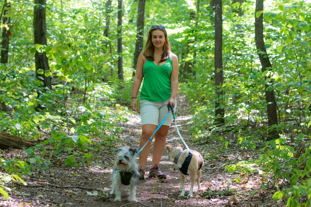 Hiking trails to share with your dog in CT