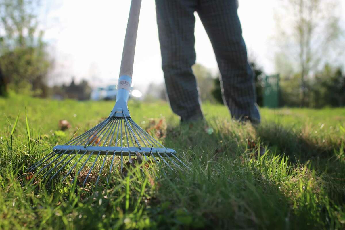 Calvin Finch Your guide to fall lawn care in San Antonio