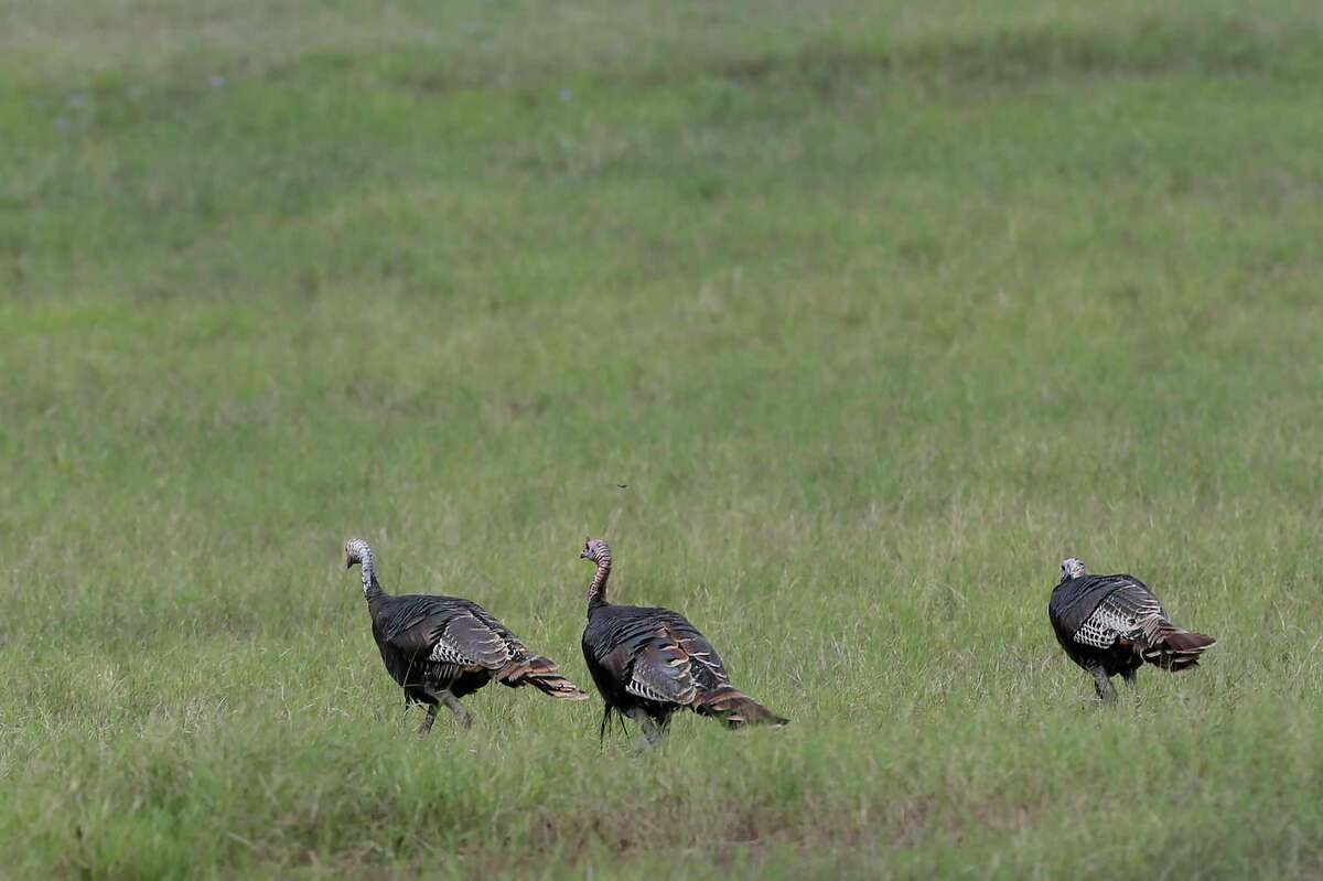 3 scenic Sunday San Antonio drives in Medina Lake area mapped out with