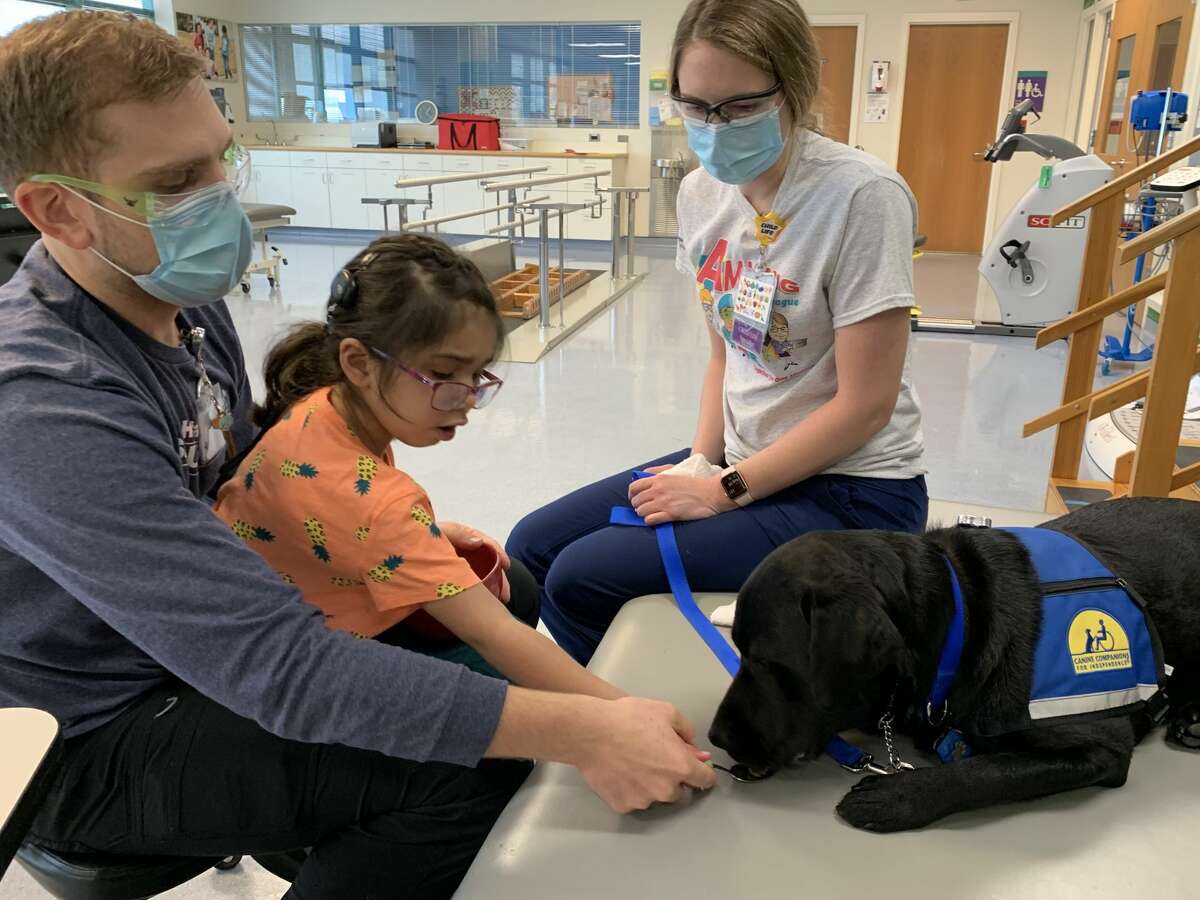 Shriners Hospital Houston new facility dog to help patients cope