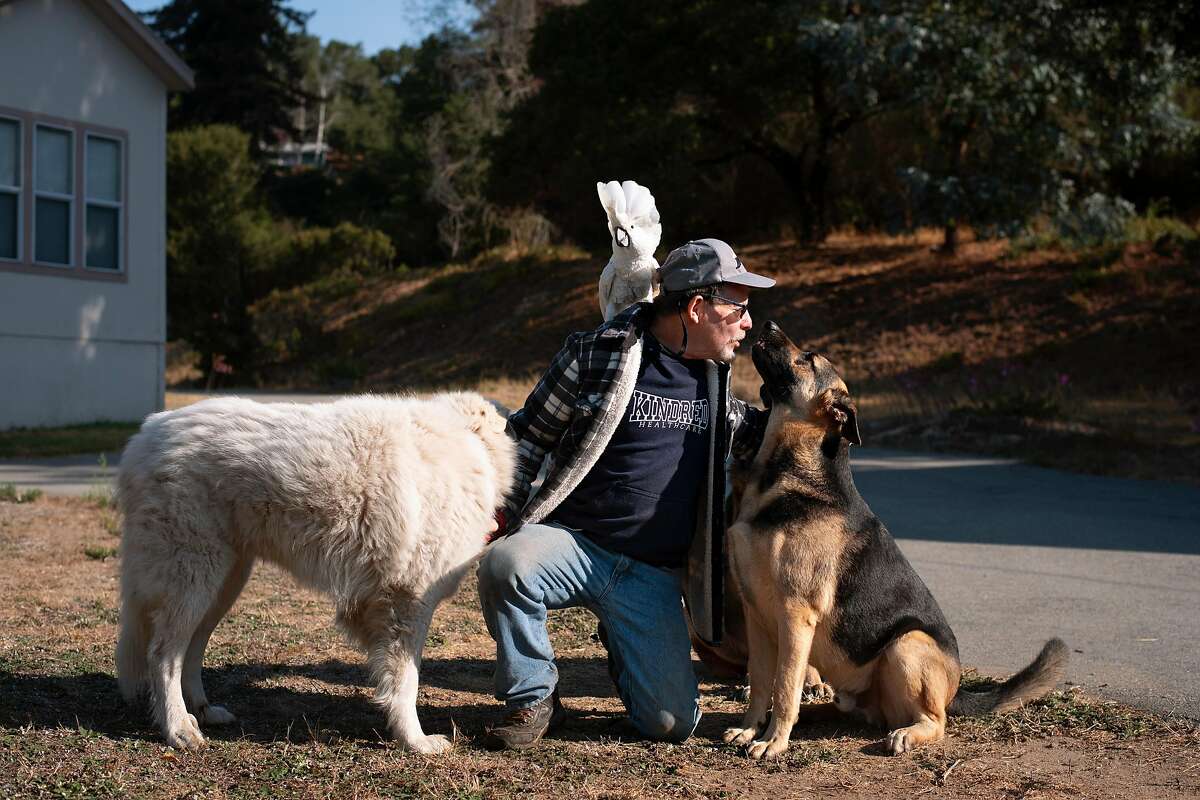 Michael Matison savors time with his three dogs (Dakota, Teagan, and Diesel) and his cockatoo Kazar at his friend’s home in Aptos on Sept. 4, 2020. The CZU Lightning Complex Fire engulfed the property that Matison and his partner Mikaela on Last Chance Road without warning, cutting off their exit on the main road and forcing them to gather their animals and head out into Big Basin, which was also on fire.