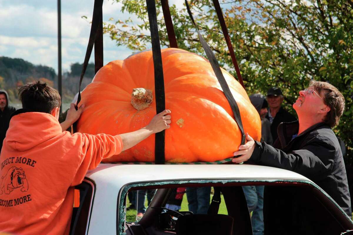 The pumpkin is one of the more popular events during Frankfort's weekend of Fall Fest, which draws thousands of people for a day full of fall activities. 