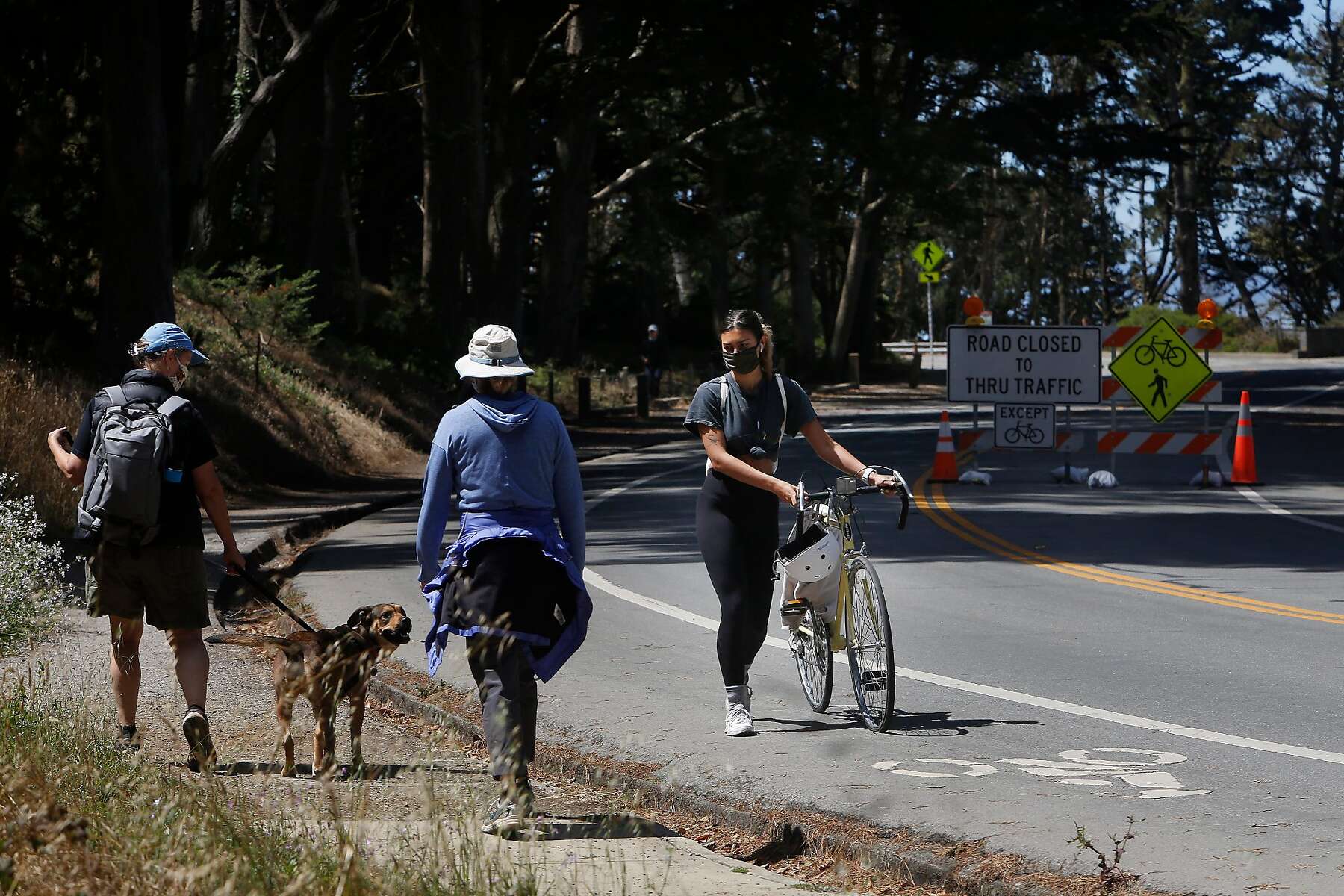 San Francisco lets just one person delay eco-friendly projects in the midst  of a climate crisis. How is that fair?