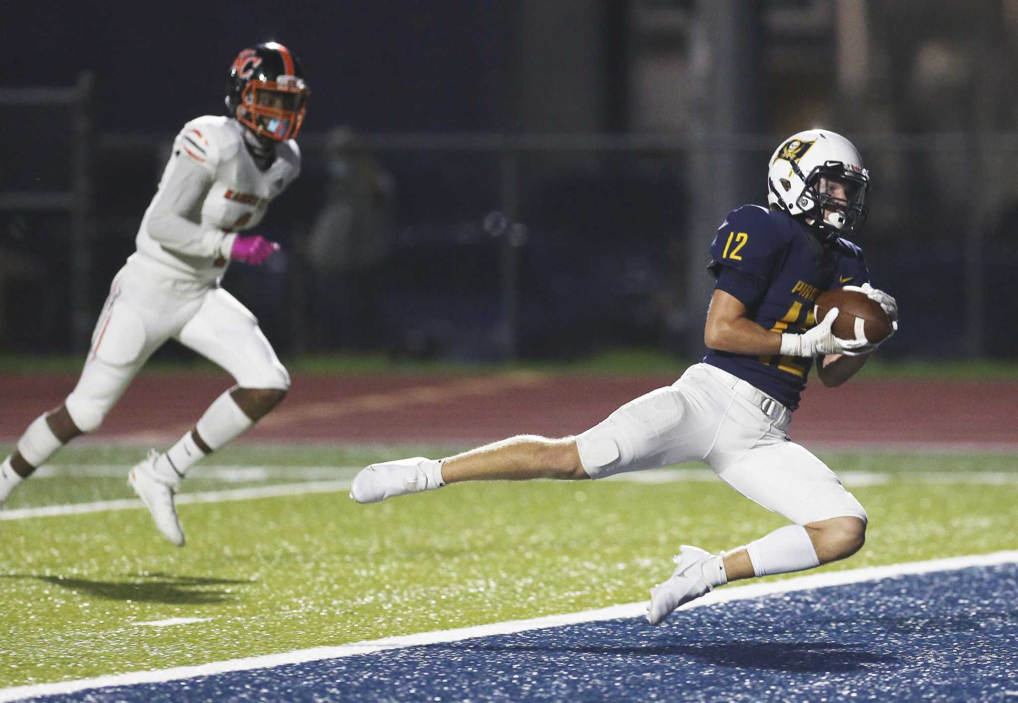 green succulent plant Echeveria Perle von Nurnberg: Purple, Pink Succulent - Pet-friendly Plant  for Cats & Dogs - (3.5") - Drought Tolerant Succulents