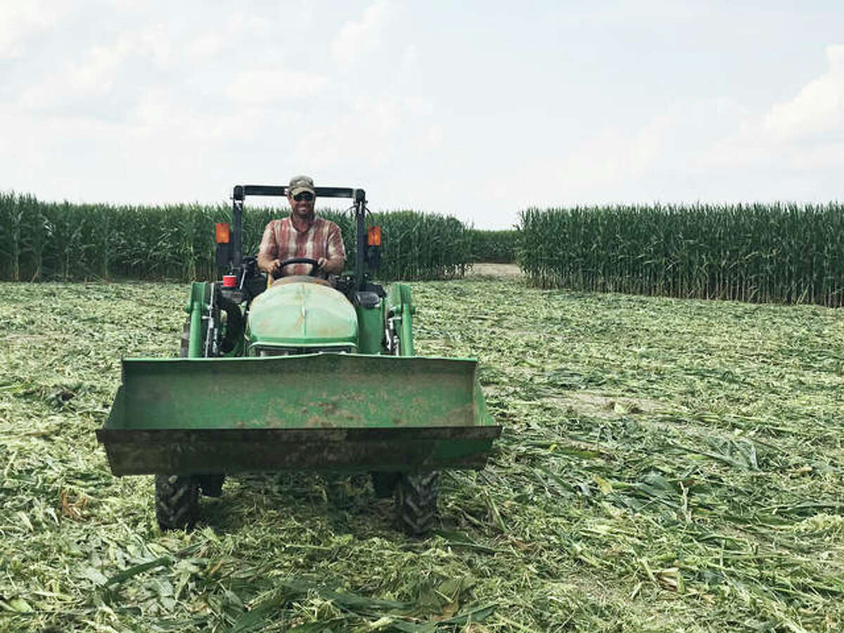 St. Jacob corn maze, pumpkin patch ready for the season