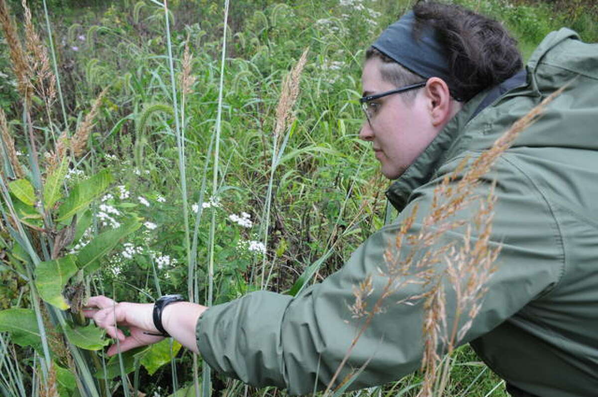 Emily Ehley of The Nature Institute searches for uniquer plant species to document during Backyard Biodiversity Weekend. The event continues Sunday, both in Godfrey and virtually through the use of a smartphone app.