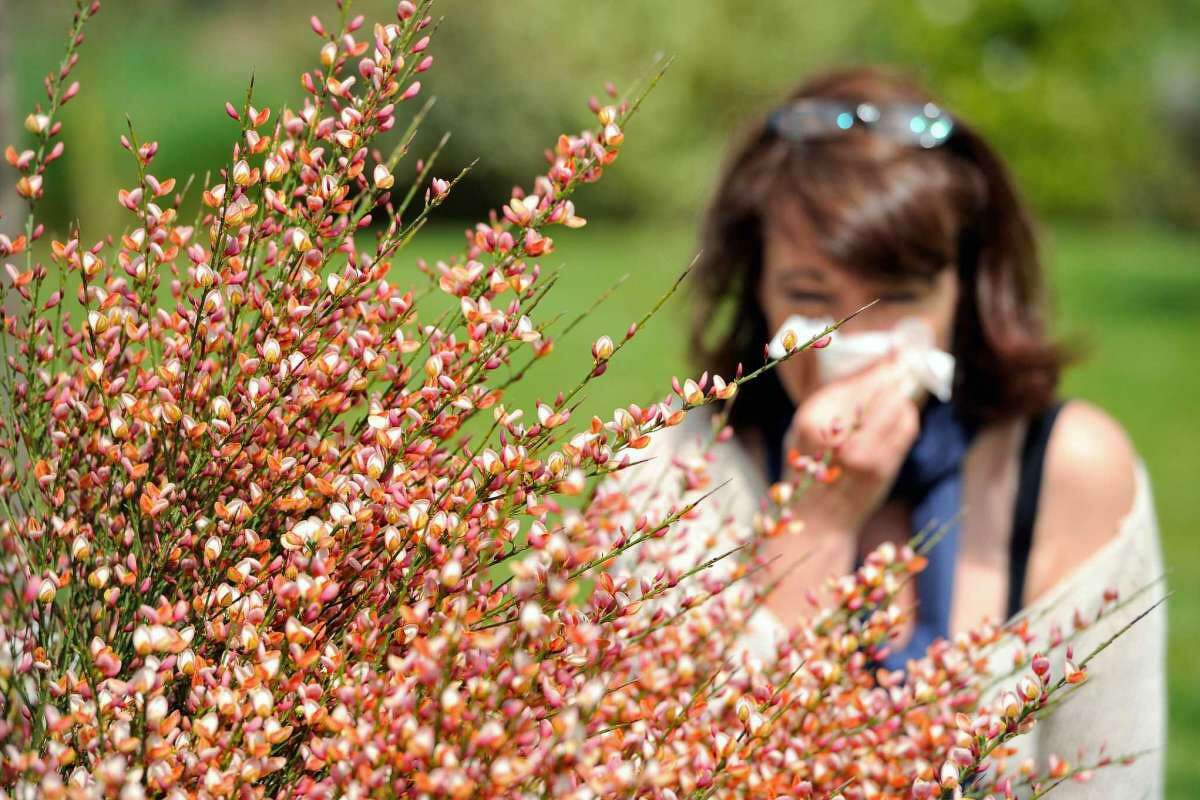 It can be easy to confuse benign but annoying fall allergies with symptoms of the potentially deadly COVID-19 virus.